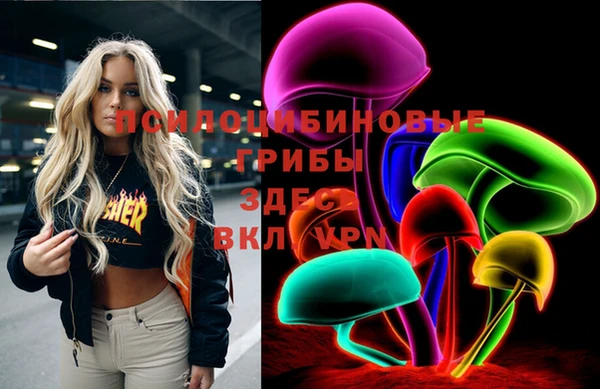 тгк Инта
