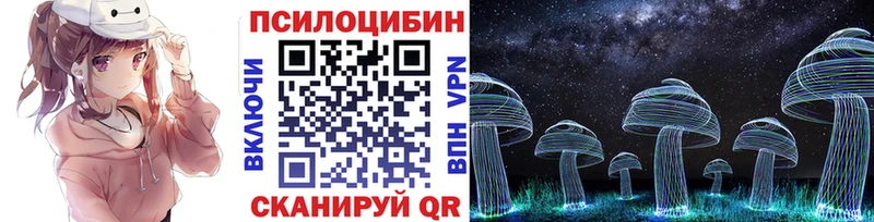 Купить  Ахтырский  Галлюциногенные грибы MAGIC MUSHROOMS 